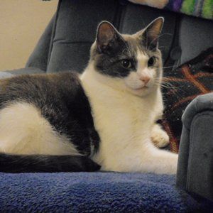 Meet your Posher, Christina